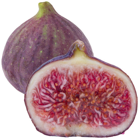 Alt image